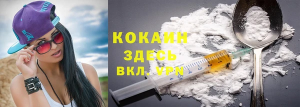 дживик Арсеньев