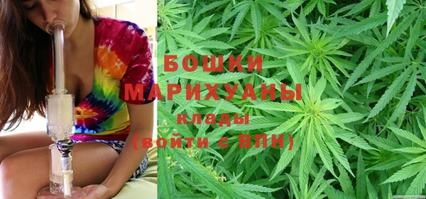 дживик Арсеньев
