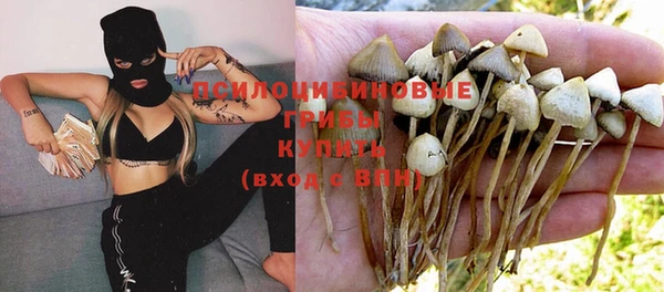 меф Армянск