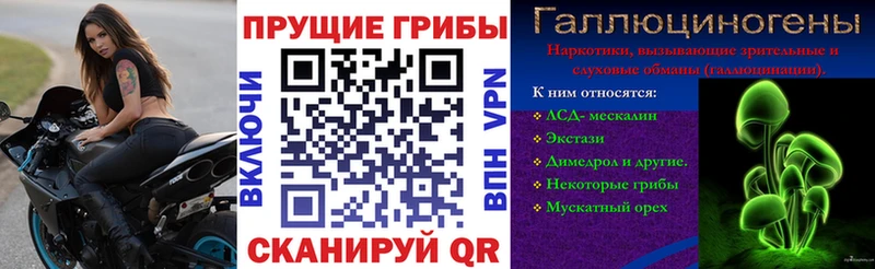 даркнет сайт  Верхнеуральск  Галлюциногенные грибы Magic Shrooms 